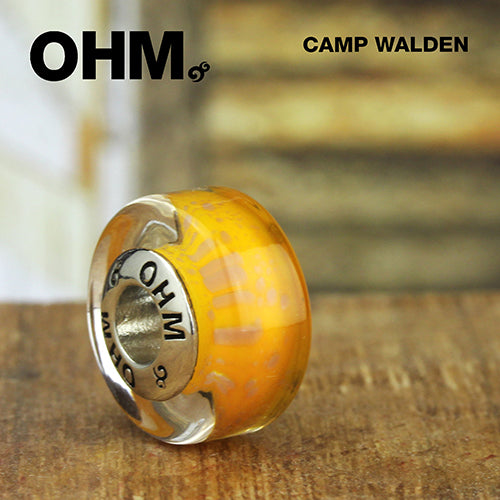 OHM Camp Walden