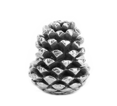 Black Raven Pinecones