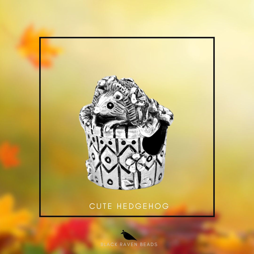 Black Raven Cute Hedgehog