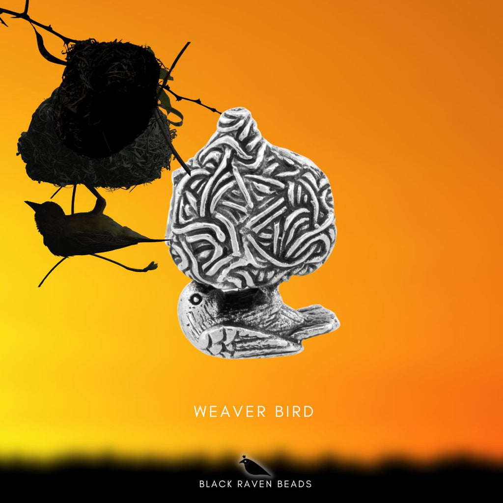 Black Raven Weavers Nest