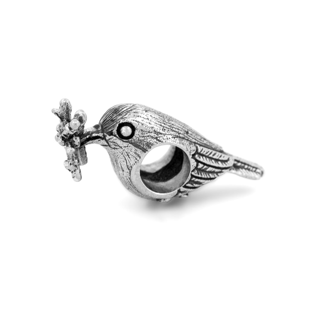 Black Raven Messenger of Spring