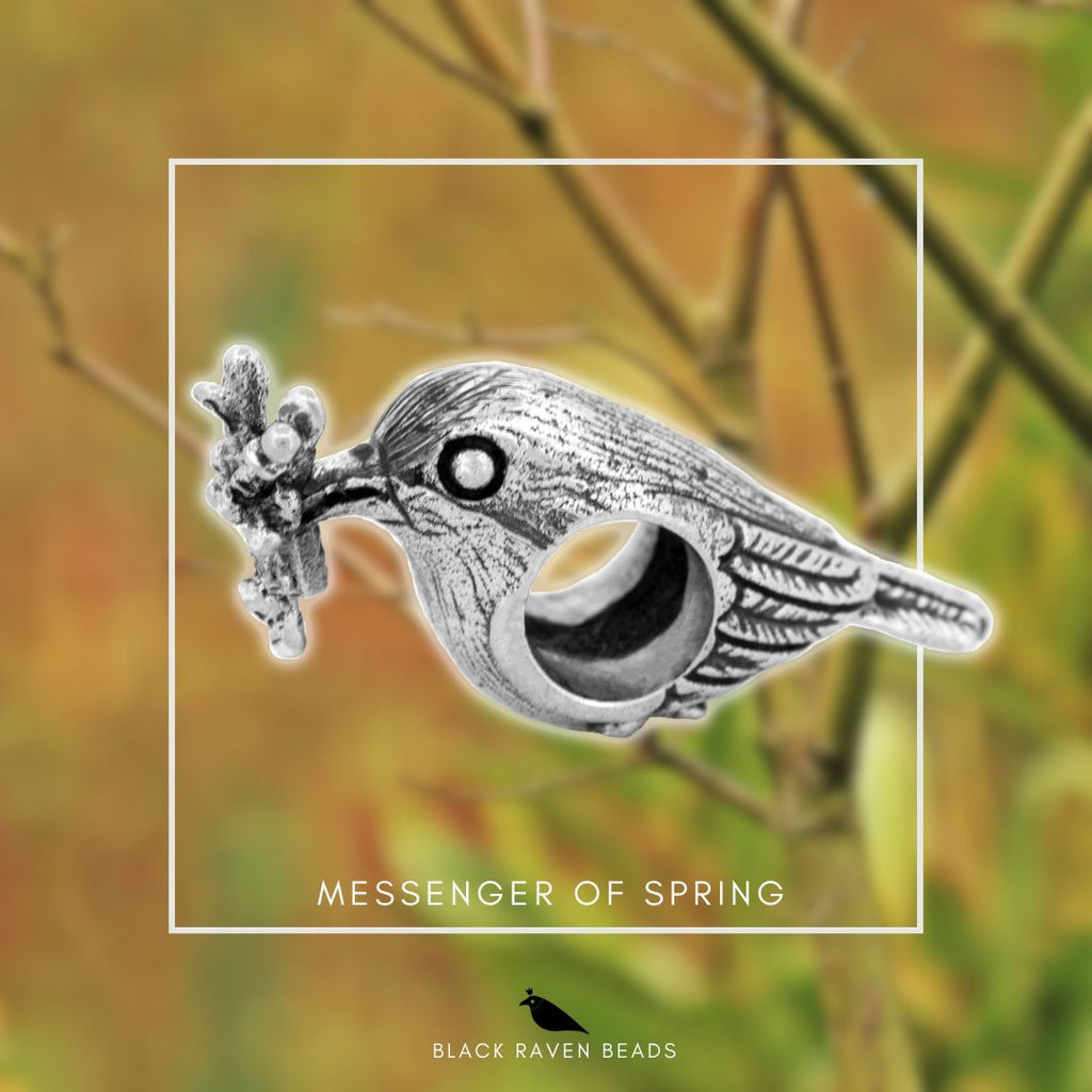 Black Raven Messenger of Spring