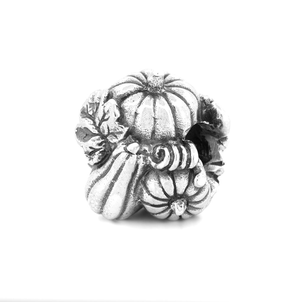 Black Raven - Pumpkin Plant