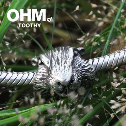 OHM Toothy