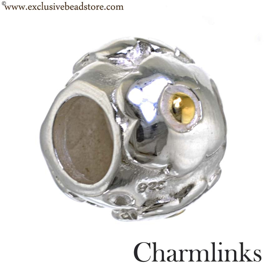 Charmlinks Silver and Gold Plated Bead