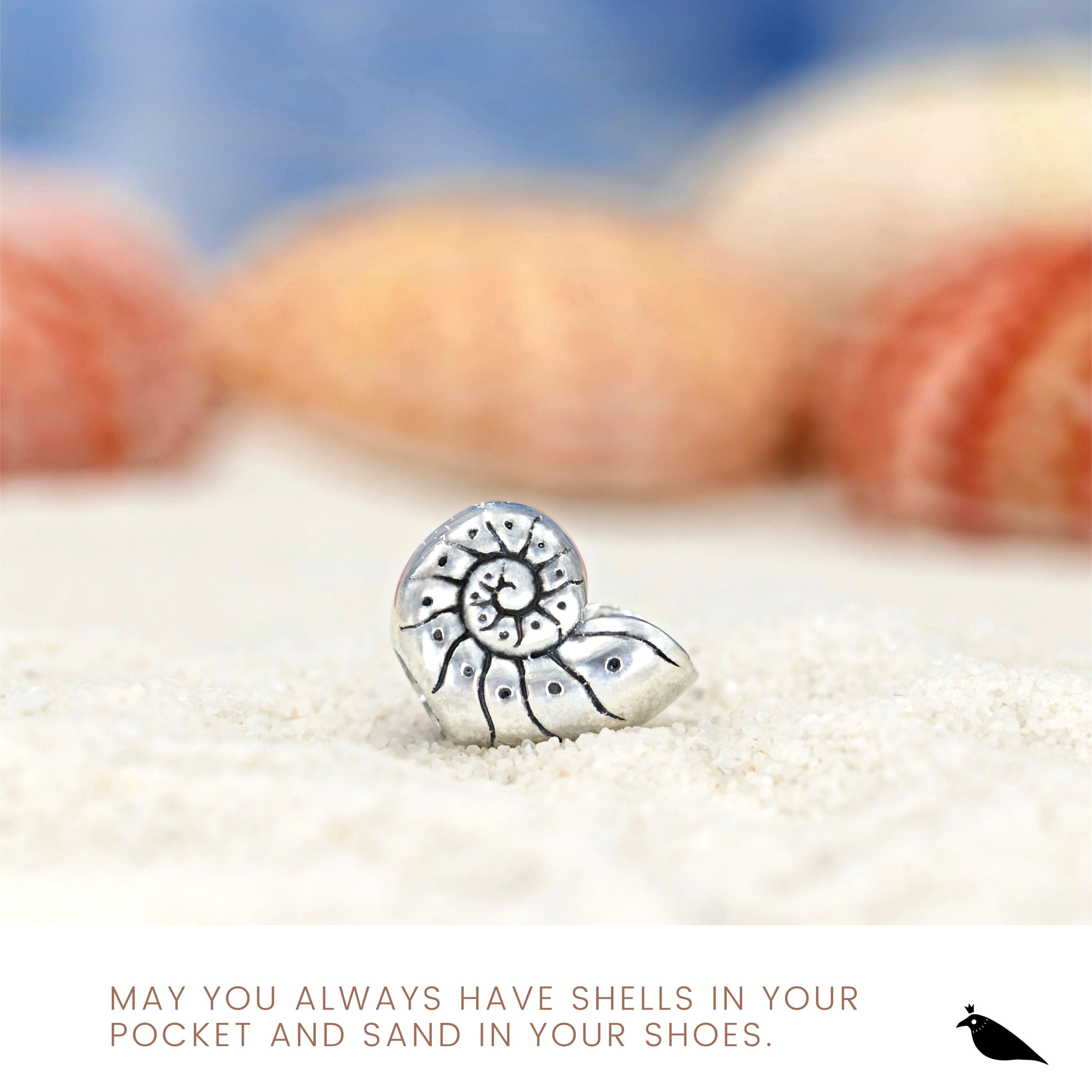 Black Raven Nautilus Shell - Exclusive Bead Store