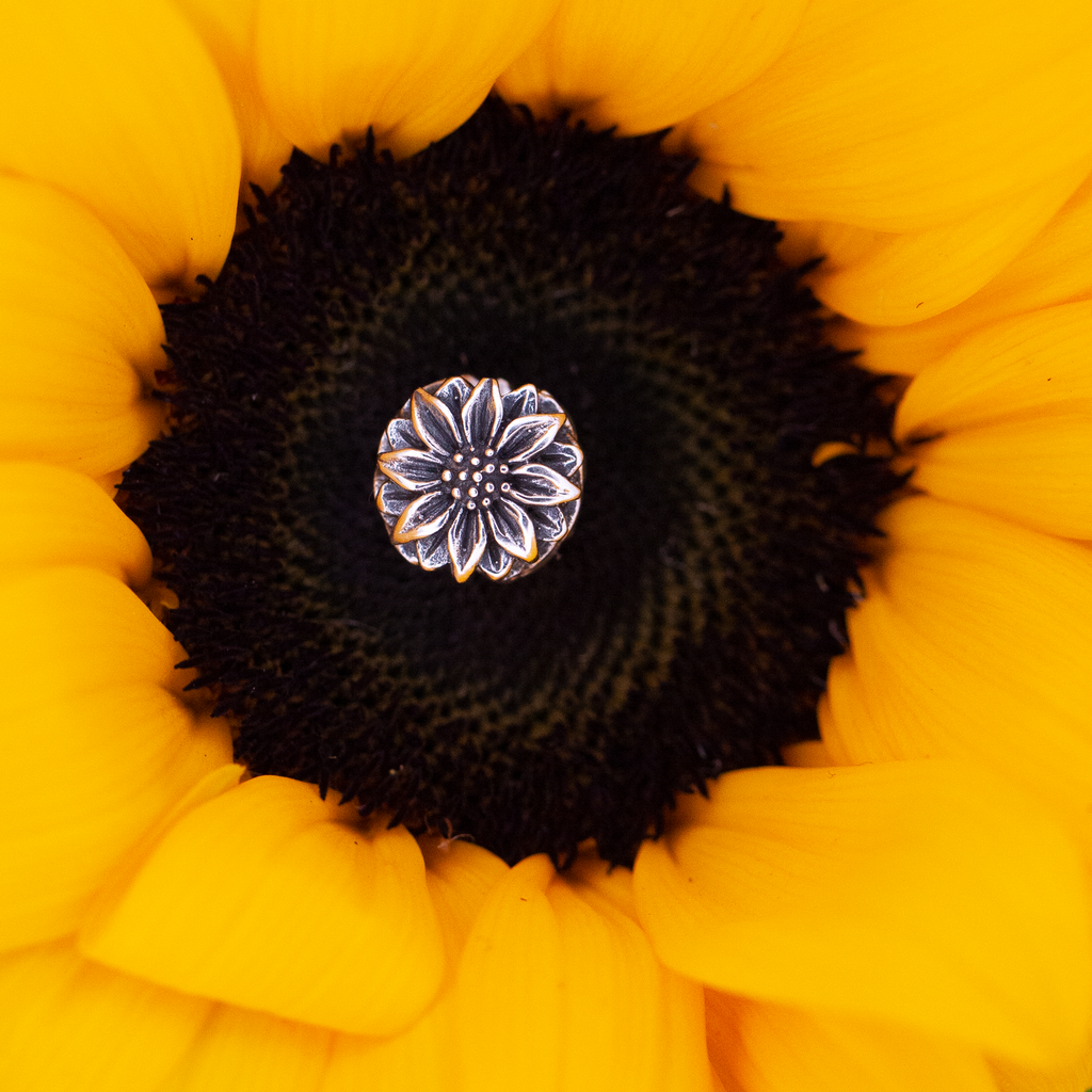 Black Raven Sunflower Joy