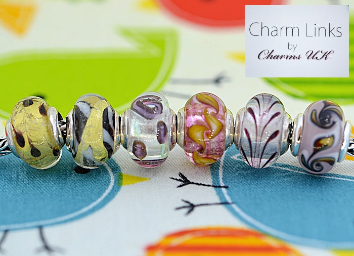 Charmlinks Special Offer Set of 6  Murano Glass Beads