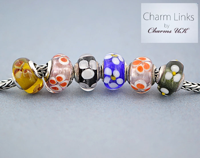 Charmlinks Special Offer Set of 6  Murano Glass Beads