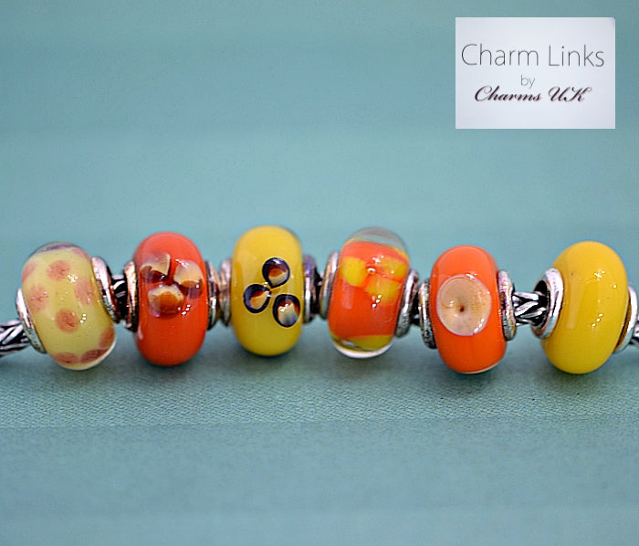 Charmlinks Special Offer Set of 6  Murano Glass Beads